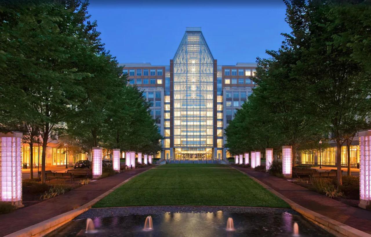 The Westin Alexandria Old Town Otel Dış mekan fotoğraf